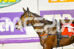 2025_PACEPIX_GP20062025_Race6_RelativelyArma_WIN_WEB-19