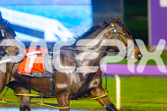 2025_PACEPIX_GP20062025_Race6_RelativelyArma_WIN_WEB-3