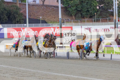 2026_PACEPIX_GP24022026_RACE6_Rockabilkity_WIN_WEB-1