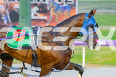 2026_PACEPIX_GP24022026_RACE6_Rockabilkity_WIN_WEB-11