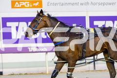 2026_PACEPIX_GP17032026_Race5_RunkleCrunch_WIN_WEB-12