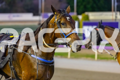 2026_PACEPIX_GP17032026_Race5_RunkleCrunch_WIN_WEB-17