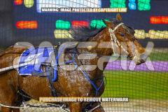 2026_Pacepix_GP31072026_Race6_ScooterB_WIN_WEB-17