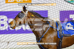 2026_Pacepix_GP31072026_Race6_ScooterB_WIN_WEB-19