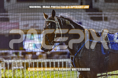 2026_Pacepix_GP31072026_Race6_ScooterB_WIN_WEB-23