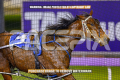2026_Pacepix_GP31072026_Race6_ScooterB_WIN_WEB-7