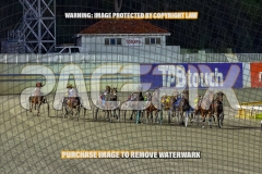 2026_PACEPIX_GP04092026_Race6_SeasideSerenade_WIN_WEB-10