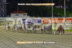 2026_PACEPIX_GP04092026_Race6_SeasideSerenade_WIN_WEB-11
