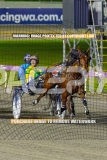 2026_PACEPIX_GP04092026_Race6_SeasideSerenade_WIN_WEB-12