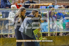 2026_PACEPIX_GP04092026_Race6_SeasideSerenade_WIN_WEB-16
