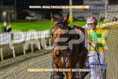 2026_PACEPIX_GP04092026_Race6_SeasideSerenade_WIN_WEB-29