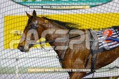 2026_PACEPIX_GP04092026_Race6_SeasideSerenade_WIN_WEB-32