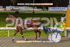 2026_PACEPIX_GP04092026_Race6_SeasideSerenade_WIN_WEB-33