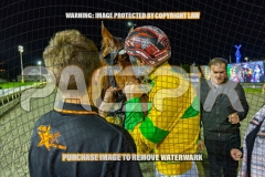 2026_PACEPIX_GP04092026_Race6_SeasideSerenade_WIN_WEB-39