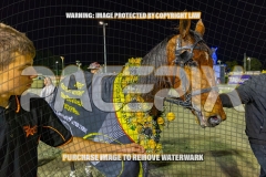 2026_PACEPIX_GP04092026_Race6_SeasideSerenade_WIN_WEB-41