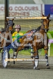2026_PACEPIX_GP04092026_Race6_SeasideSerenade_WIN_WEB-5