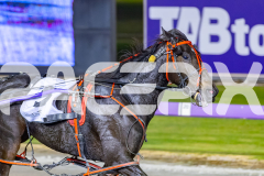 2026_PACEPIX_GP12052026_Race6_ShesATinyDancer_WIN_WEB-10