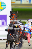 2026_PACEPIX_GP12052026_Race6_ShesATinyDancer_WIN_WEB-12