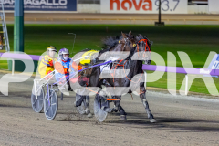 2026_PACEPIX_GP12052026_Race6_ShesATinyDancer_WIN_WEB-3