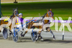 2025_PACEPIX_GP28102025_Race6_ShesMyLittleGem_WIN_WEB-1