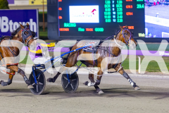 2025_PACEPIX_GP28102025_Race6_ShesMyLittleGem_WIN_WEB-14