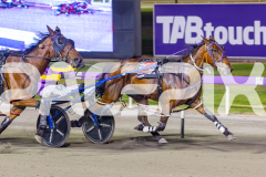 2025_PACEPIX_GP28102025_Race6_ShesMyLittleGem_WIN_WEB-15