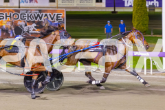 2025_PACEPIX_GP28102025_Race6_ShesMyLittleGem_WIN_WEB-16