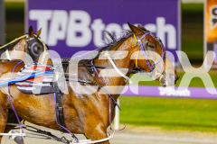 2025_PACEPIX_GP28102025_Race6_ShesMyLittleGem_WIN_WEB-18
