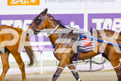 2025_PACEPIX_GP28102025_Race6_ShesMyLittleGem_WIN_WEB-21