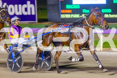 2025_PACEPIX_GP28102025_Race6_ShesMyLittleGem_WIN_WEB-3
