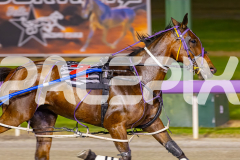 2025_PACEPIX_GP28102025_Race6_ShesMyLittleGem_WIN_WEB-4