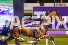 2025_PACEPIX_GP28102025_Race6_ShesMyLittleGem_WIN_WEB-8