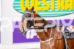 2025_PACEPIX_GP28072025_RACE6_Sidstrepo_WIN_WEB-11