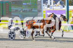 2025_PACEPIX_GP28072025_RACE6_Sidstrepo_WIN_WEB-5