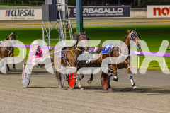 2025_PACEPIX_GP08072025_Race6_Sidstrepo_WIN_WEB-7