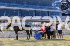 RACE 6 - Sonic Seelster