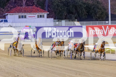 2025_PACEPIX_GP25112025_Race6_SonicSeelster_WIN_WEB-1