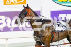 2025_PACEPIX_GP25112025_Race6_SonicSeelster_WIN_WEB-12