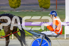 2025_PACEPIX_GP25112025_Race6_SonicSeelster_WIN_WEB-13