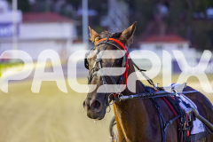 2025_PACEPIX_GP25112025_Race6_SonicSeelster_WIN_WEB-15