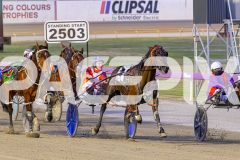 2025_PACEPIX_GP25112025_Race6_SonicSeelster_WIN_WEB-2