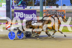 2025_PACEPIX_GP25112025_Race6_SonicSeelster_WIN_WEB-5