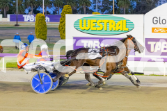 2025_PACEPIX_GP25112025_Race6_SonicSeelster_WIN_WEB-6