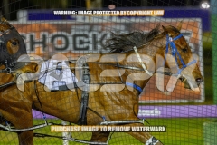 2026_Pacepix_GP23102026_Race6_SouthSideStory_WIN_WEB-1
