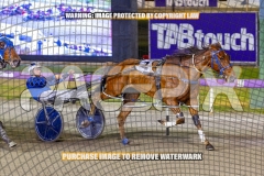 2026_Pacepix_GP23102026_Race6_SouthSideStory_WIN_WEB-10