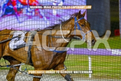 2026_Pacepix_GP23102026_Race6_SouthSideStory_WIN_WEB-15