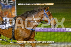 2026_Pacepix_GP23102026_Race6_SouthSideStory_WIN_WEB-16