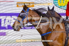 2026_Pacepix_GP23102026_Race6_SouthSideStory_WIN_WEB-18