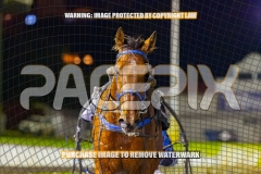 2026_Pacepix_GP23102026_Race6_SouthSideStory_WIN_WEB-20