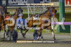 2026_Pacepix_GP23102026_Race6_SouthSideStory_WIN_WEB-3